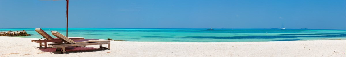 alquiler coches murcia