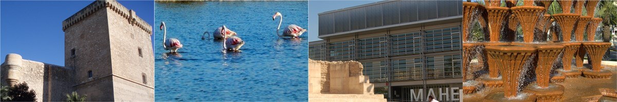 Museo Arqueológico y de História de Elche MAHE Elche