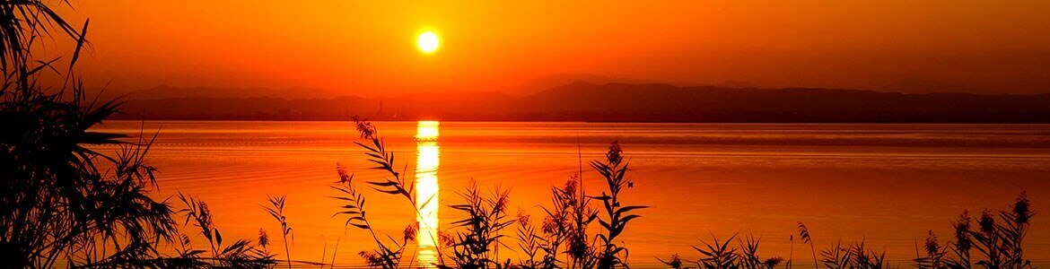 Albufera Valencia Coche alquiler